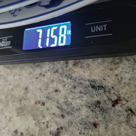 Tatung in Glaze Vintage Water Lily Pattern Durable China 6 Oval Plates - Picture 7 of 13